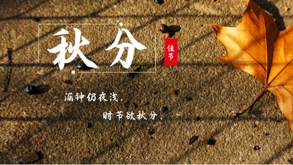 樓上樓門窗 | 白露秋分夜,一夜冷一夜，高端門窗安排上！